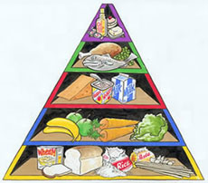 food piramid
